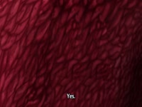 Inyouchuu Etsu Kairaku Henka Taimaroku Episode And More Free Porn